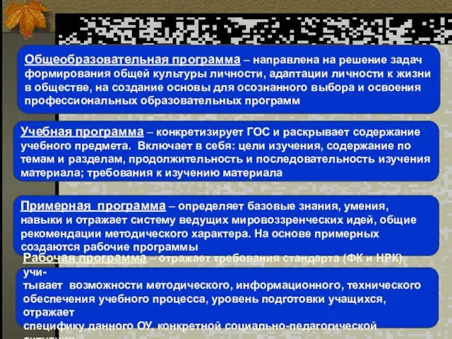 Общеобразовательная программа – направлена на решение задач формирования общей культуры личности, адаптации