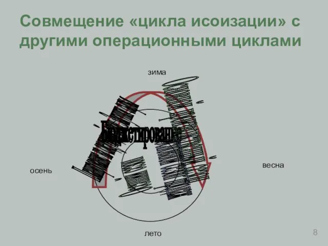 Совмещение «цикла исоизации» с другими операционными циклами Бюджетирование Основной производственный сезон Осенний