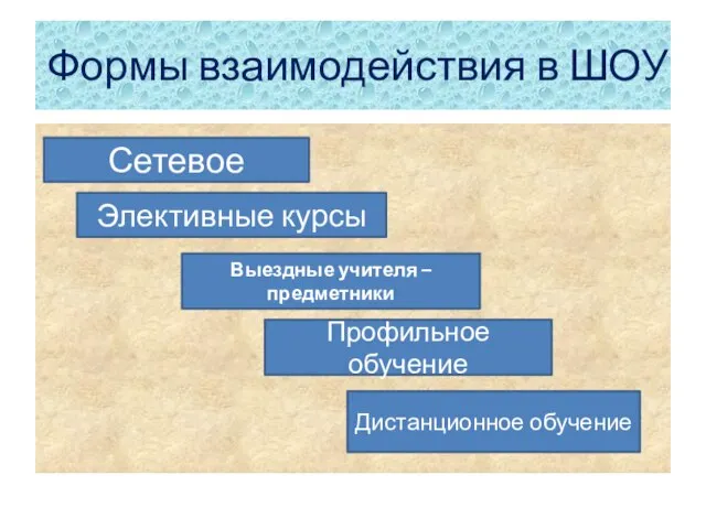 Формы взаимодействия в ШОУ Сетевое Элективные курсы Выездные учителя – предметники Профильное обучение Дистанционное обучение