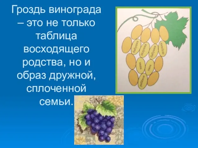 Гроздь винограда – это не только таблица восходящего родства, но и образ дружной, сплоченной семьи.
