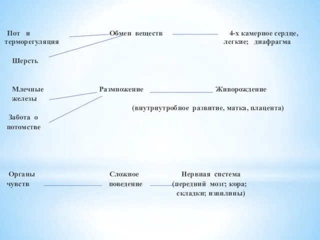 Пот и Обмен веществ 4-х камерное сердце, терморегуляция легкие; диафрагма Шерсть Млечные