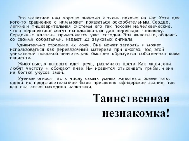 Таинственная незнакомка! Это животное нам хорошо знакомо и очень похоже на нас.