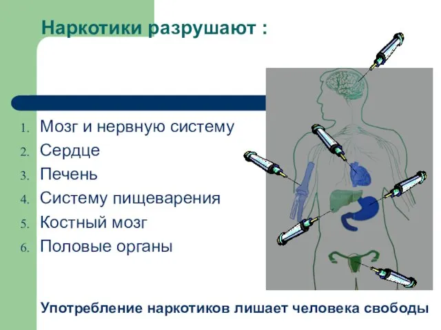 Наркотики разрушают : Мозг и нервную систему Сердце Печень Систему пищеварения Костный