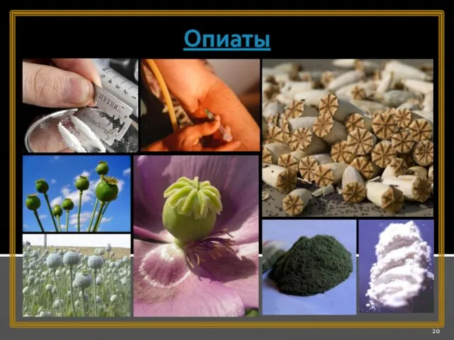 Опиаты Опиаты