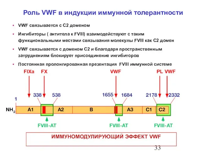 VWF связывается с C2 доменом Ингибиторы ( антитела к FVIII) взаимодействуют с