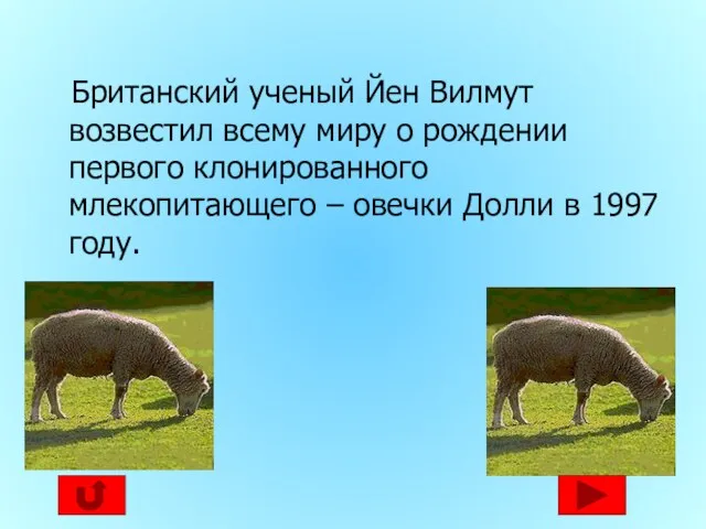 Британский ученый Йен Вилмут возвестил всему миру о рождении первого клонированного млекопитающего