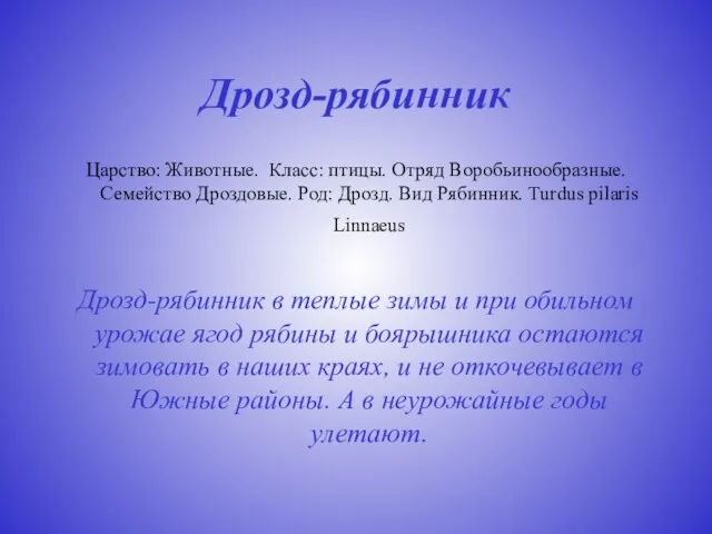 Дрозд-рябинник Царство: Животные. Класс: птицы. Отряд Воробьинообразные. Семейство Дроздовые. Род: Дрозд. Вид