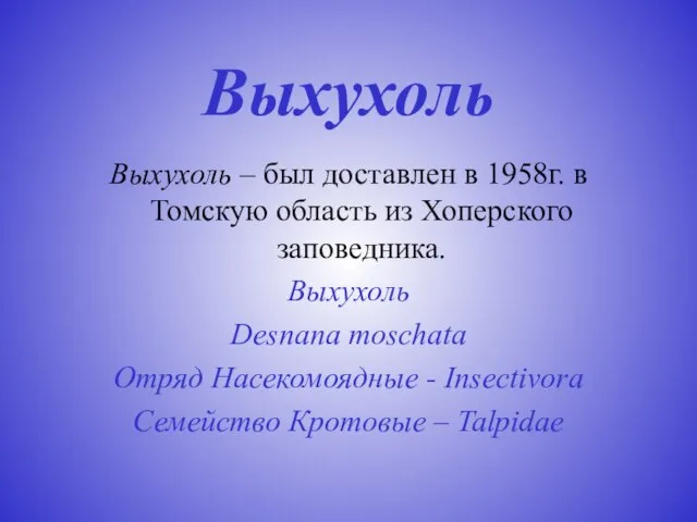 Выхухоль Выхухоль – был доставлен в 1958г. в Томскую область из Хоперского