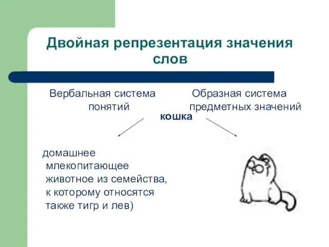 Двойная репрезентация значения слов Вербальная система понятий домашнее млекопитающее животное из семейства,