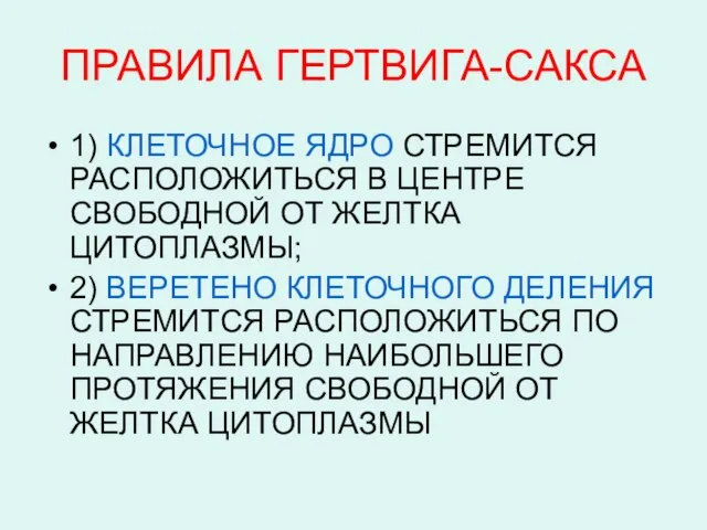 ПРАВИЛА ГЕРТВИГА-САКСА 1) КЛЕТОЧНОЕ ЯДРО СТРЕМИТСЯ РАСПОЛОЖИТЬСЯ В ЦЕНТРЕ СВОБОДНОЙ ОТ ЖЕЛТКА