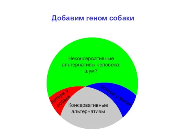 Human-specific alternatives: noise? Conserved alternatives Добавим геном собаки Консервативные альтернативы потери у