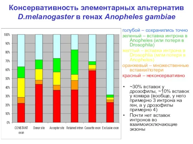 Консервативность элементарных альтернатив D.melanogaster в генах Anopheles gambiae голубой – сохранились точно