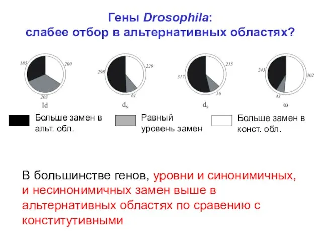 Гены Drosophila: слабее отбор в альтернативных областях? Больше замен в альт. обл.