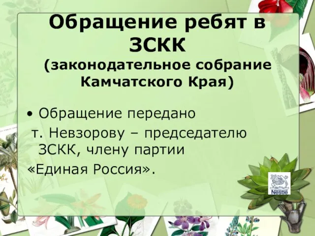 Обращение ребят в ЗСКК (законодательное собрание Камчатского Края) Обращение передано т. Невзорову