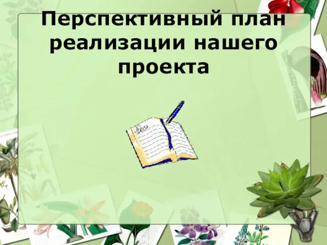 Перспективный план реализации нашего проекта