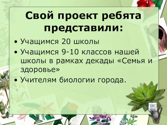 Свой проект ребята представили: Учащимся 20 школы Учащимся 9-10 классов нашей школы