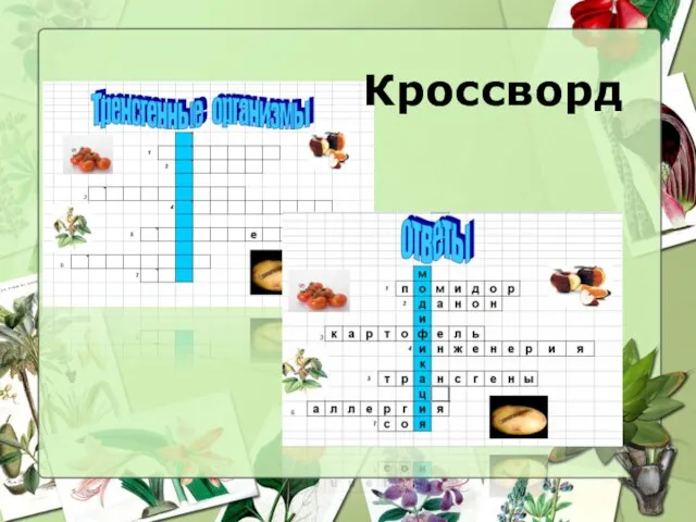 Кроссворд