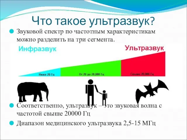 Что такое ультразвук? Звуковой спектр по частотным характеристикам можно разделить на три