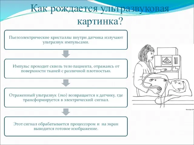 Как рождается ультразвуковая картинка?