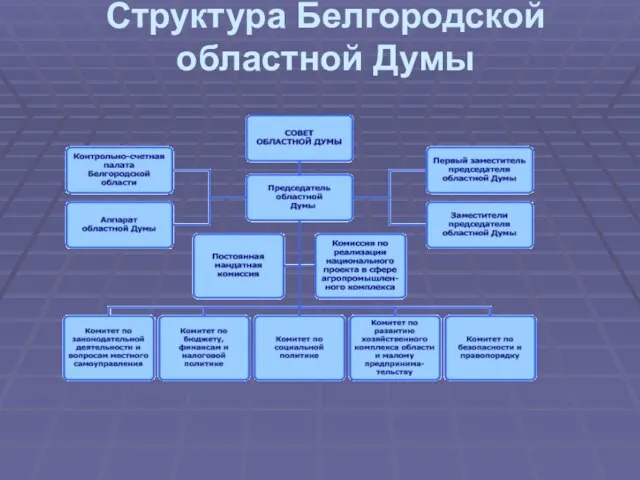 Структура Белгородской областной Думы