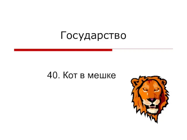 Государство 40. Кот в мешке