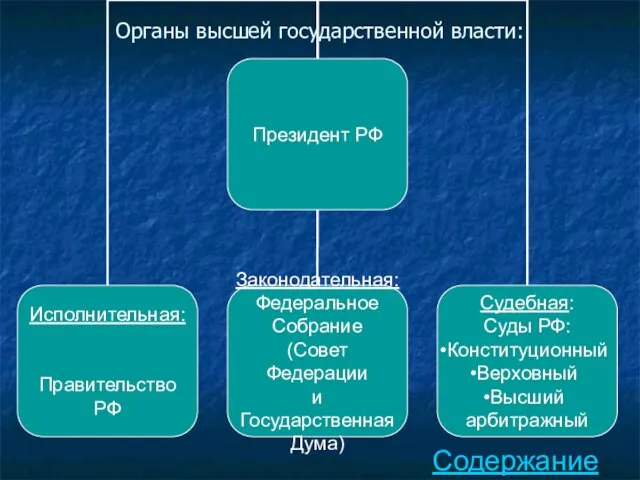 Органы высшей государственной власти: Содержание