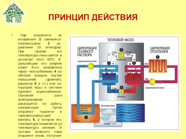 Пар хладагента из испарителя 2 сжимается компрессором 3 до давления 25 атмосфер.