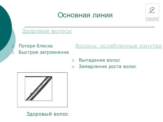 Основная линия Здоровые волосы Потеря блеска Быстрое загрязнение Здоровый волос Волосы, ослабленные