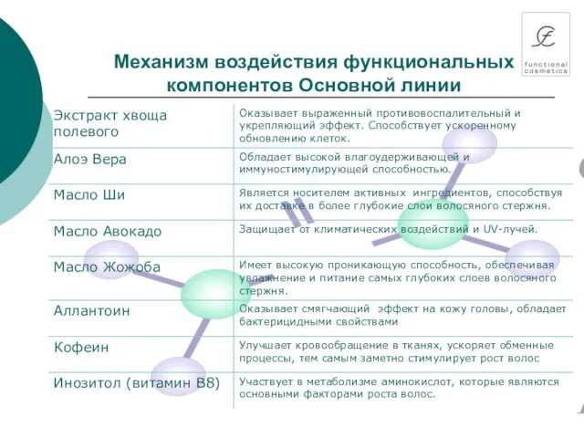 Механизм воздействия функциональных компонентов Основной линии