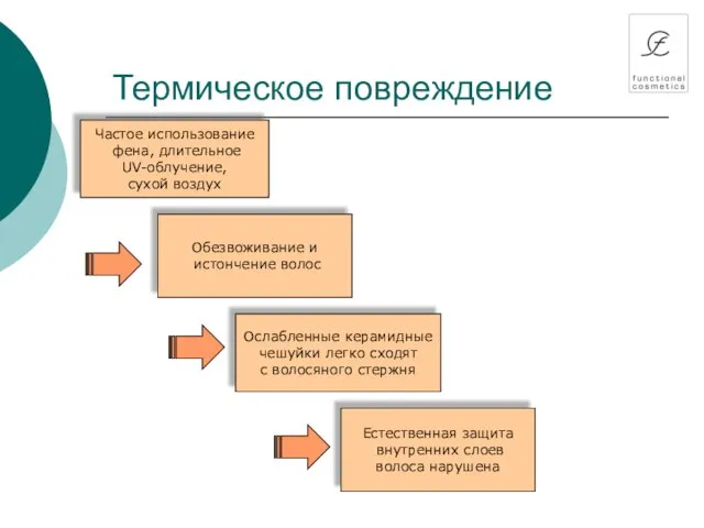 Термическое повреждение Частое использование фена, длительное UV-облучение, сухой воздух Обезвоживание и истончение