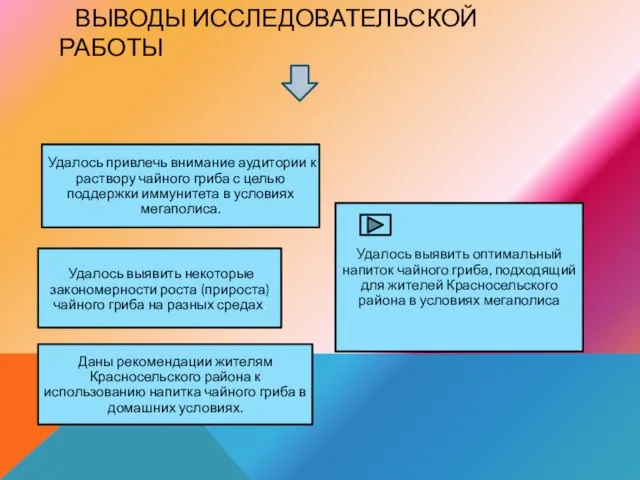 ВЫВОДЫ ИССЛЕДОВАТЕЛЬСКОЙ РАБОТЫ