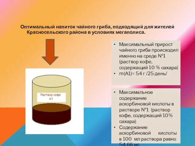 Оптимальный напиток чайного гриба, подходящий для жителей Красносельского района в условиях мегаполиса.