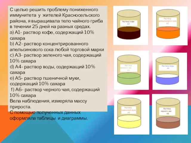 С целью решить проблему пониженного иммунитета у жителей Красносельского района, я выращивала