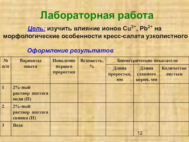 Лабораторная работа Цель: изучить влияние ионов Cu2+, Pb2+ на морфологические особенности кресс-салата узколистного Оформление результатов