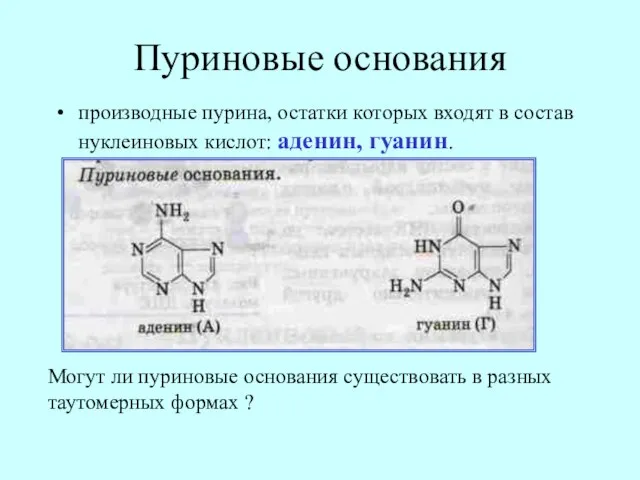 Пуриновые основания производные пурина, остатки которых входят в состав нуклеиновых кислот: аденин,
