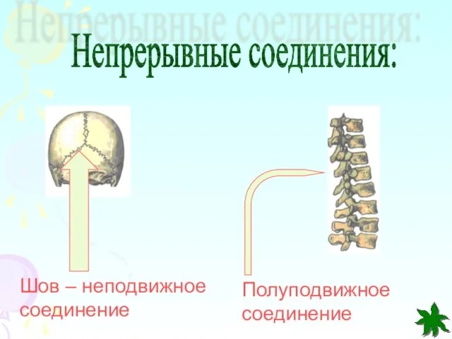 Шов – неподвижное соединение Полуподвижное соединение Непрерывные соединения: