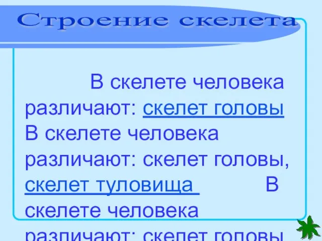 Строение скелета В скелете человека различают: скелет головы В скелете человека различают: