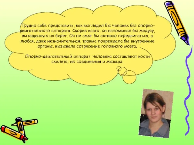 Трудно себе представить, как выглядел бы человек без опорно-двигательного аппарата. Скорее всего,