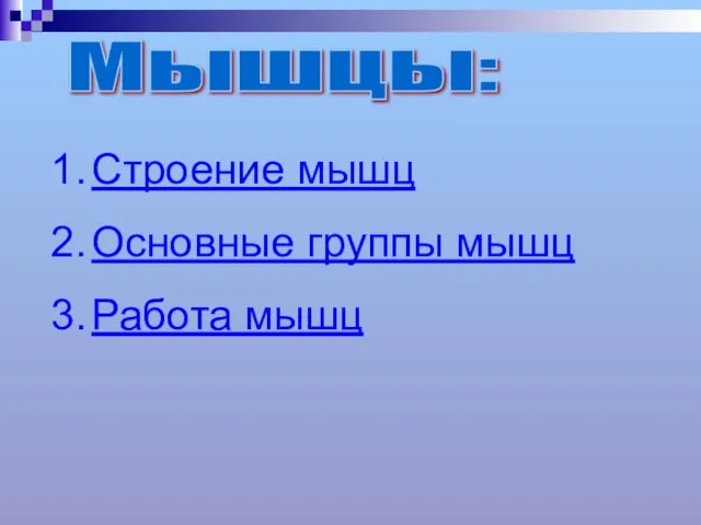 Мышцы: Строение мышц Основные группы мышц Работа мышц