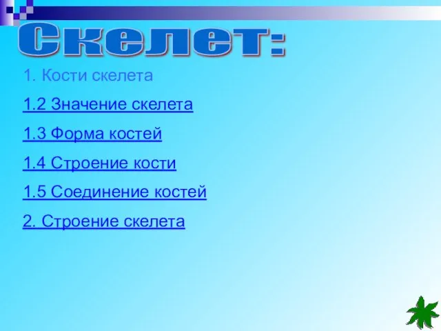 Скелет: 1. Кости скелета 1.2 Значение скелета 1.3 Форма костей 1.4 Строение