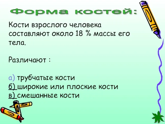 Кости взрослого человека составляют около 18 % массы его тела. Различают :