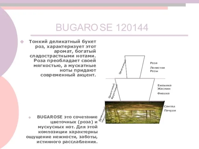 BUGARO BUGAROSE это сочетание цветочных (роза) и мускусных нот. Для этой композиции