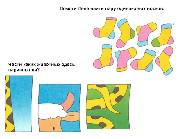 Помоги Лёне найти пару одинаковых носков. Части каких животных здесь нарисованы?
