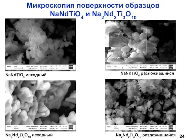 Микроскопия поверхности образцов NaNdTiO4 и Na2Nd2Ti3O10 NaNdTiO4 исходный NaNdTiO4 разложившийся Na2Nd2Ti3O10 исходный Na2Nd2Ti3O10 разложившийся