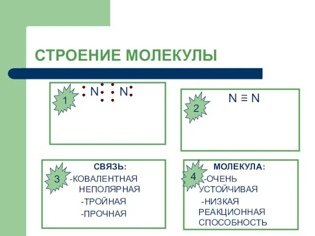 СТРОЕНИЕ МОЛЕКУЛЫ N N N ≡ N СВЯЗЬ: -КОВАЛЕНТНАЯ НЕПОЛЯРНАЯ -ТРОЙНАЯ -ПРОЧНАЯ