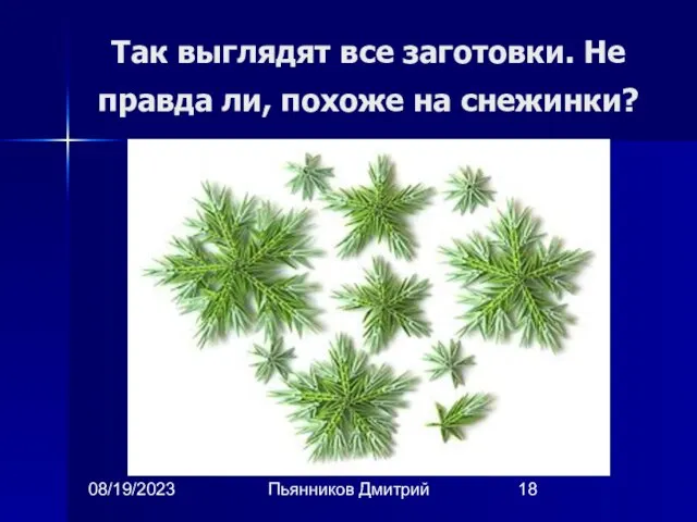 08/19/2023 Пьянников Дмитрий Так выглядят все заготовки. Не правда ли, похоже на снежинки?