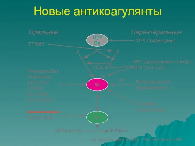 Новые антикоагулянты TFPI (тифакодин) Фондапаринукс Идрапаринукс Ривароксобан Апиксабан LY517717 YM150 DU-176b PRT-054021