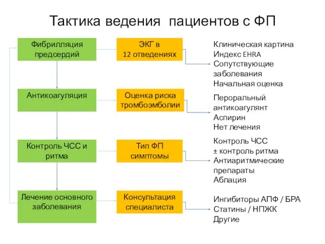 Тактика ведения пациентов с ФП Фибрилляция предсердий Антикоагуляция Контроль ЧСС и ритма