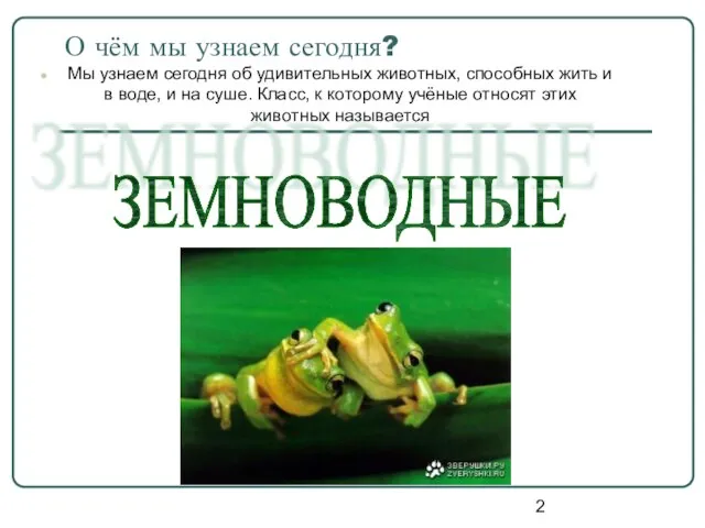 О чём мы узнаем сегодня? Мы узнаем сегодня об удивительных животных, способных