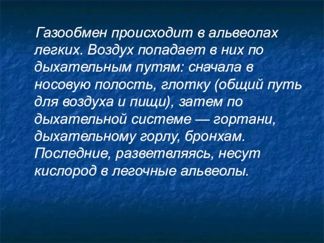 Газообмен происходит в альвеолах легких. Воздух попадает в них по дыхательным путям: